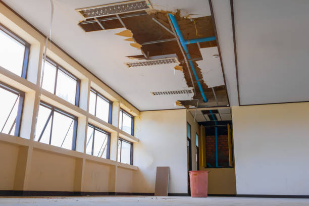 Best Professional water damage repair  in Independence, KS