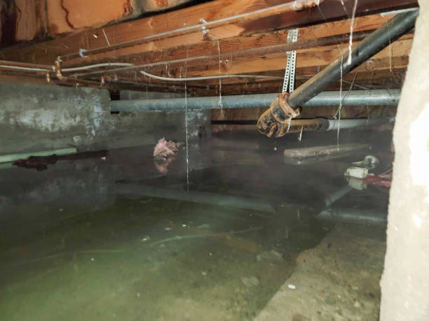 Best Water damage restoration near me  in Independence, KS
