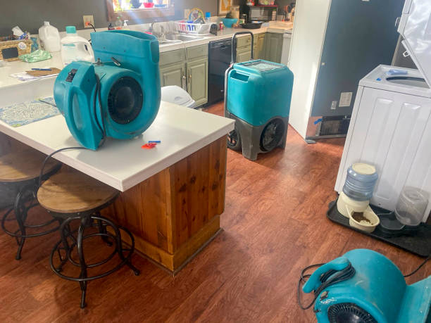 Best Flooded house restoration  in Independence, KS