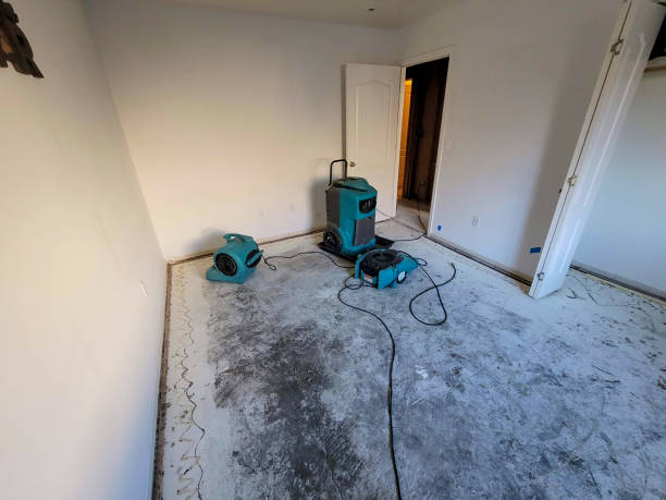 Best Ceiling water damage repair  in Independence, KS