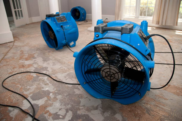 Best Fire Damage Restoration  in Independence, KS