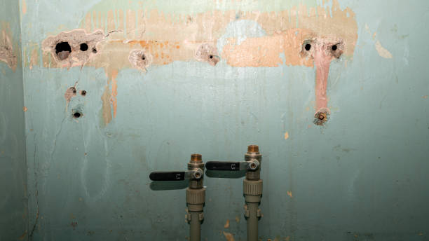 Best Sewage cleanup and water damage restoration  in Independence, KS