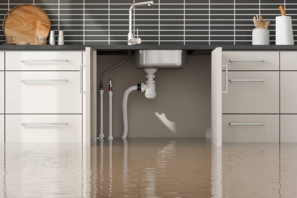 Best Carpet water damage restoration  in Independence, KS