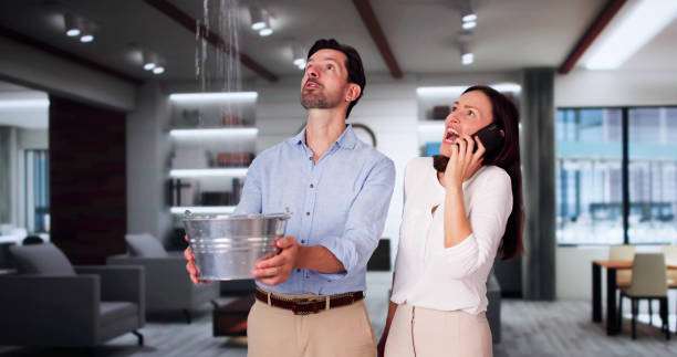 Best Flood damage cleanup  in Independence, KS